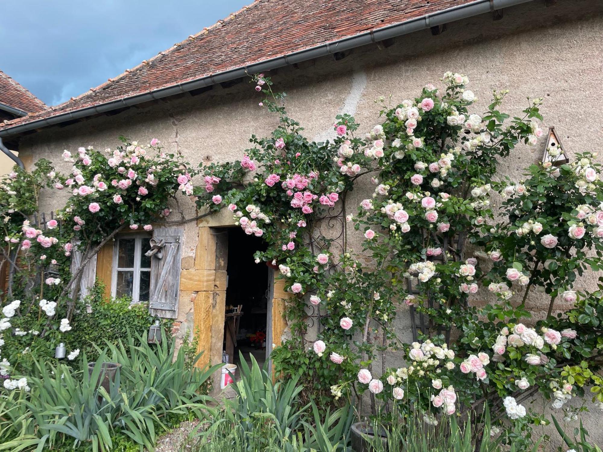 Les Jardins Des Soussilanges Bed & Breakfast Céron Dış mekan fotoğraf