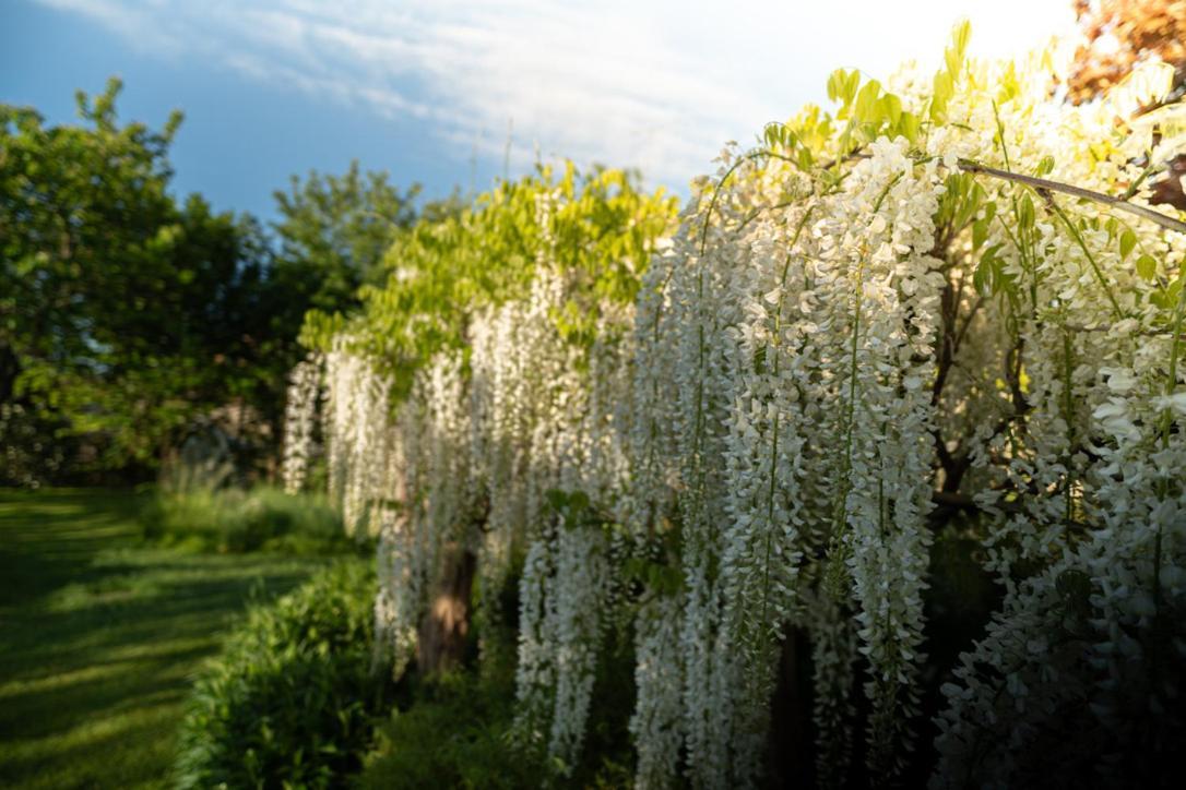 Les Jardins Des Soussilanges Bed & Breakfast Céron Dış mekan fotoğraf
