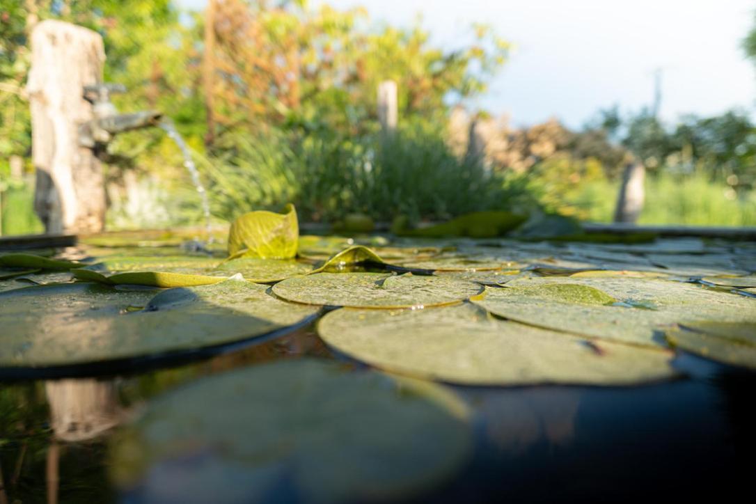 Les Jardins Des Soussilanges Bed & Breakfast Céron Dış mekan fotoğraf